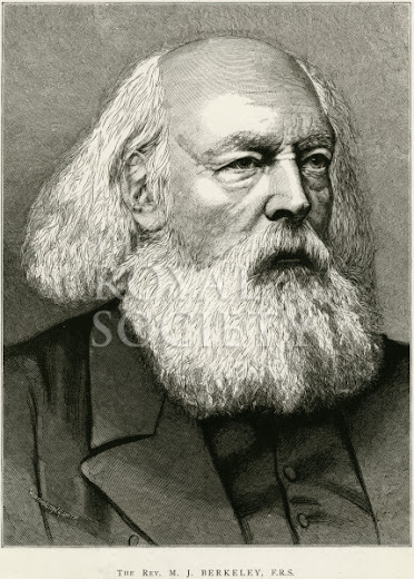 Berkeley, Miles Joseph (1803- 1889)