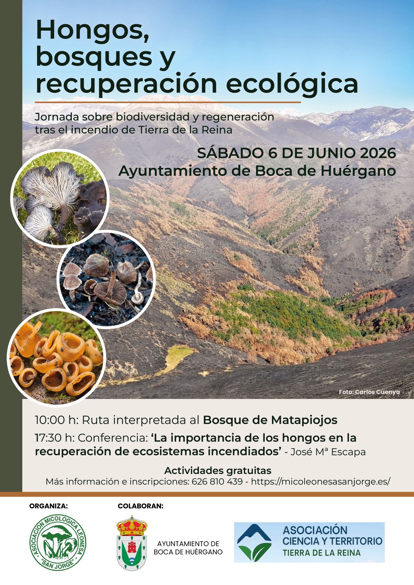 Cartel de la jornada Hongos, bosques y recuperacion ecologica — 6 de junio de 2026, Boca de Huergano