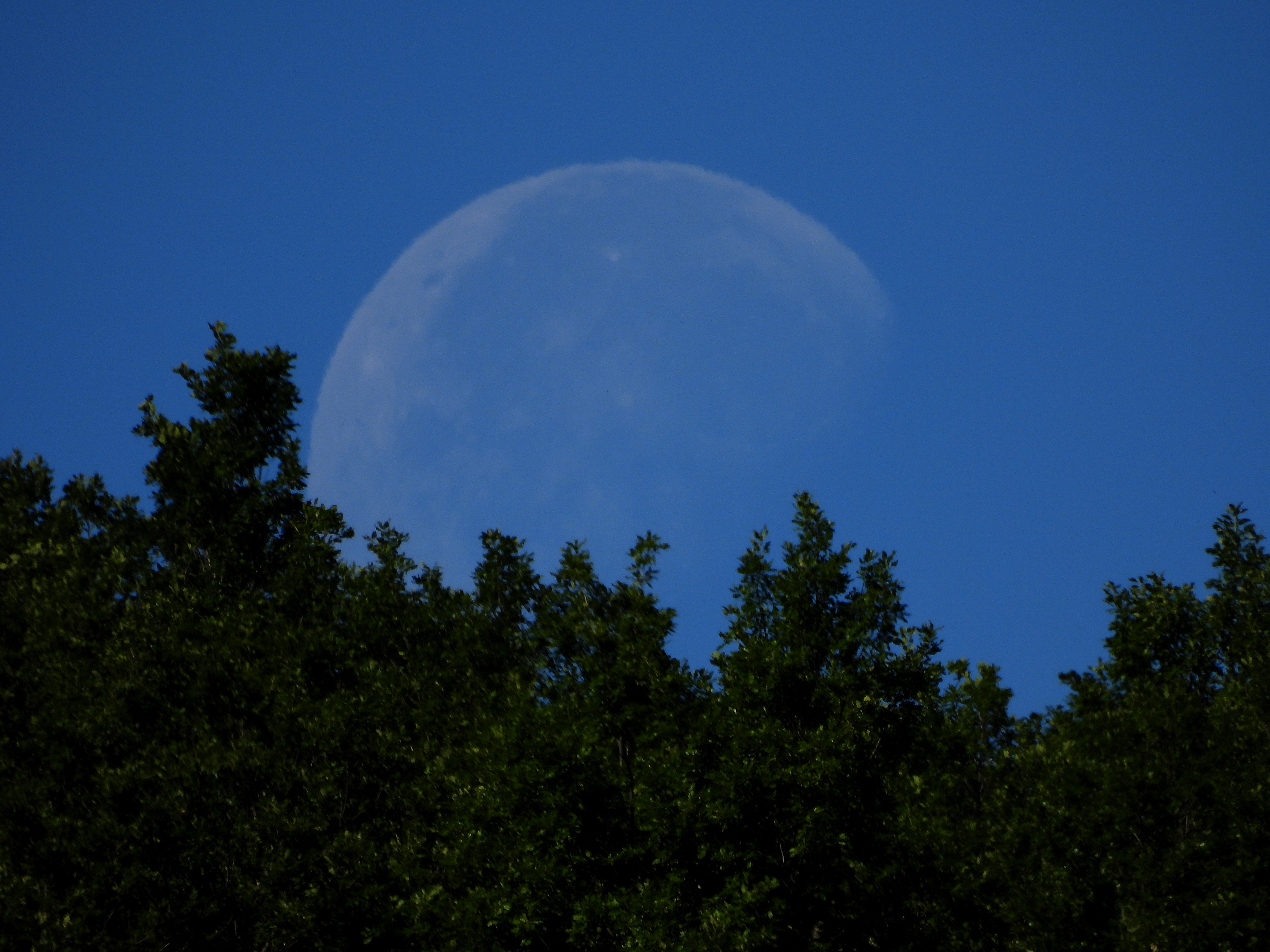 Luna ocultándose entre los robles al inicio de la ruta