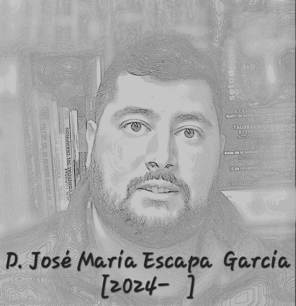 Retrato de D. José María Escapa García, presidente Desde 2023